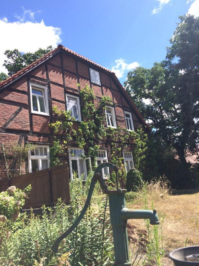 Wendlandhof Lueggau Villa Dannenberg Dış mekan fotoğraf
